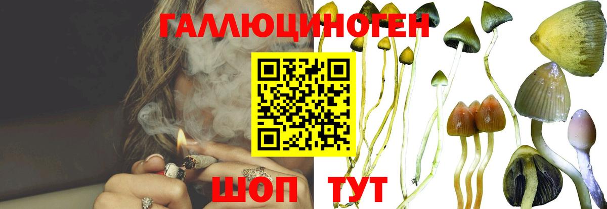 Галлюциногенные грибы мухоморы  Вход с VPN  Псилоцибиновые грибы Psilocybine cubensis  где купить наркотик  Вольск 